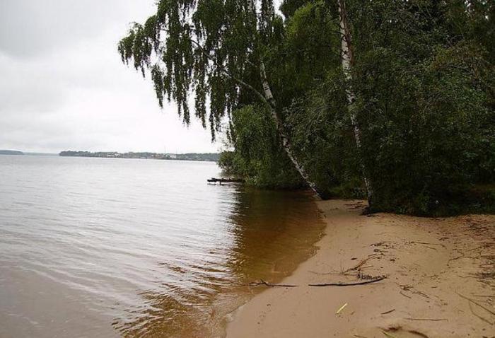 заливы иваньковского водохранилища