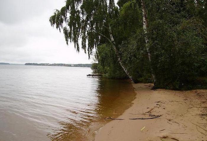 заливы иваньковского водохранилища 