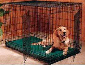 клетка для перевозки собак