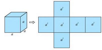 площадь поверхности куба