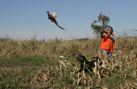 Охота на фазана с лайкой