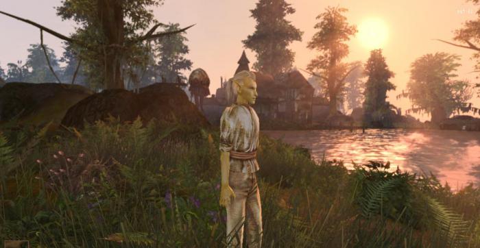 прохождение игры morrowind