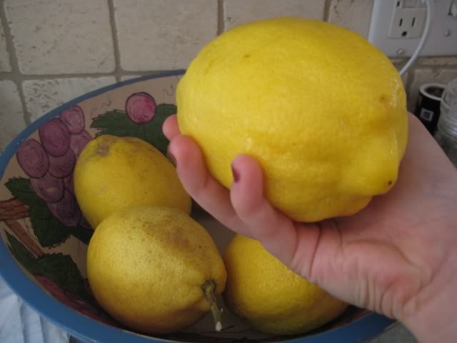 как вырастить лимонное дерево из косточки в домашних условиях 