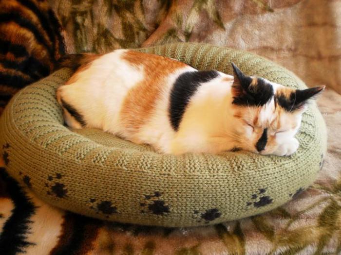 лежанка для кошки из свитера
