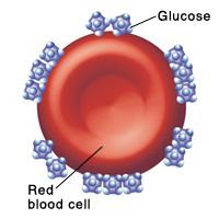 анализ на гликированный гемоглобин