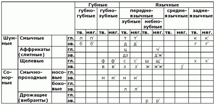 лингвистический термин