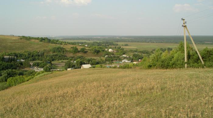 западно сибирская равнина географическое положение