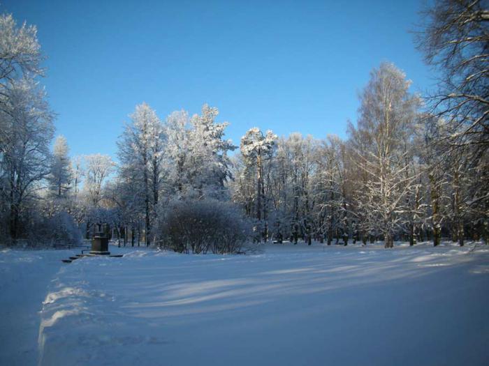 павловский парк горнолыжный курорт