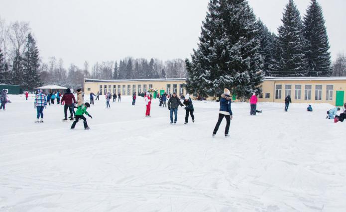 фото павловский парк