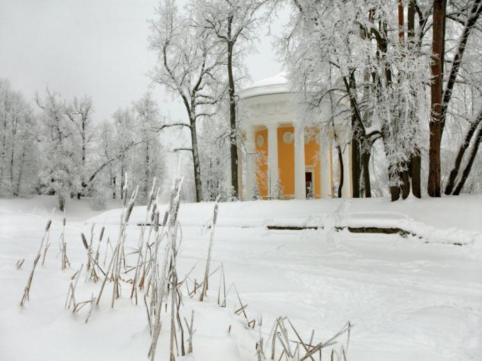 павловский парк