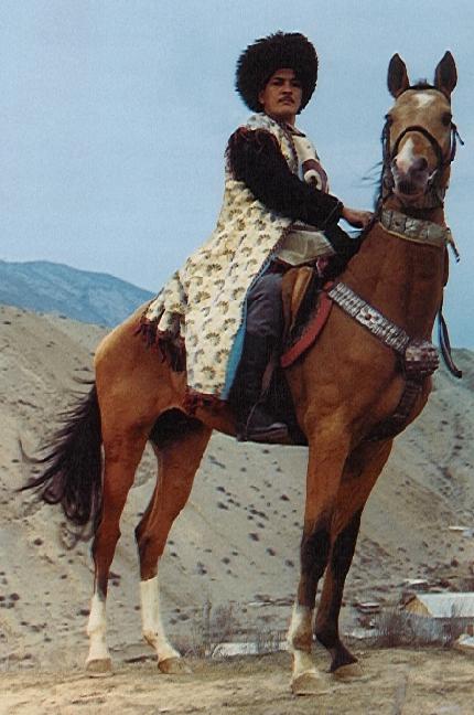 продажа лошадей ахалтекинской породы в россии 
