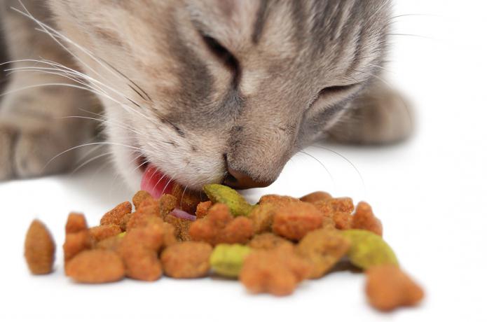 витамины для кошки