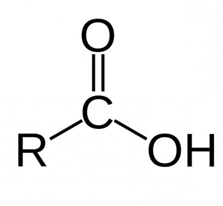 Химические свойства карбоновых кислот