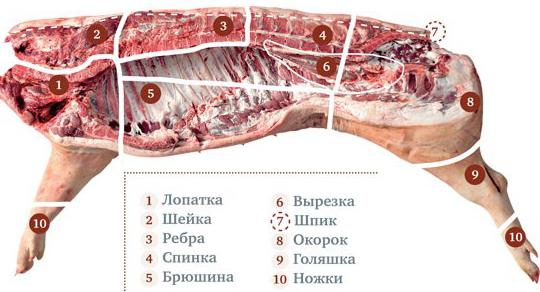 кулинарная разделка свиной туши