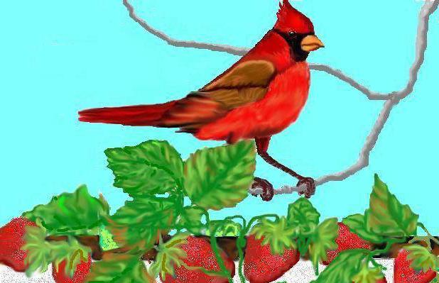 рисовать на компьютере paint
