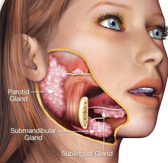 болит лимфоузел под челюстью