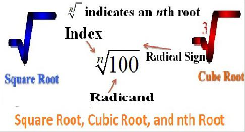 квадратный и кубический корни