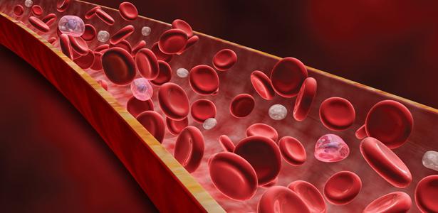 основные буферные системы крови