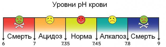 буферные системы крови