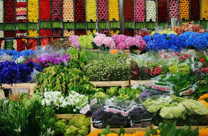 рижский рынок цветов