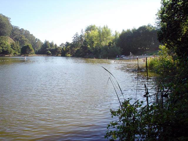 купаться в грязной воде во сне