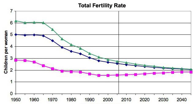 что такое фертильность у женщин и мужчин