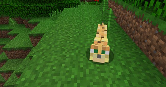 как приручить оцелота в minecraft