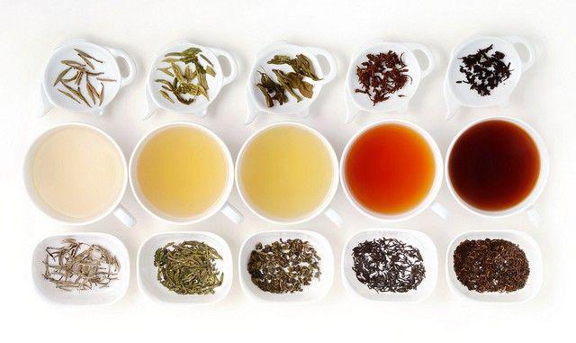 Чай сорта и виды