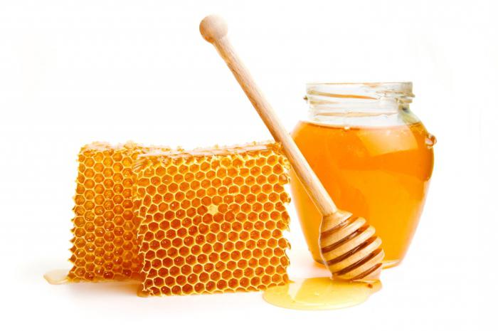 лечение язвы медом