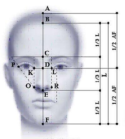 идеальные пропорции лица