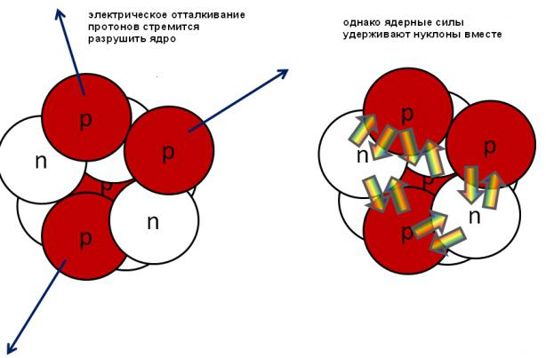 ядерные силы