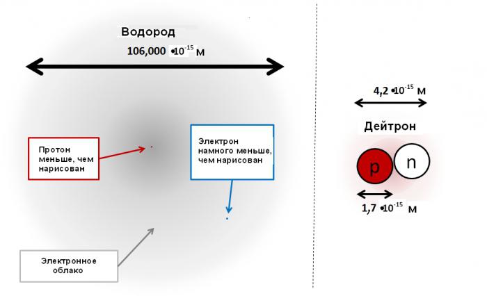 ядерные силы строение ядра