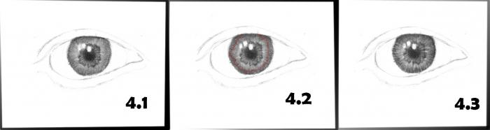 как нарисовать глаза карандашом для начинающих 