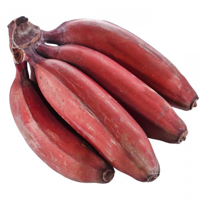 красные бананы 