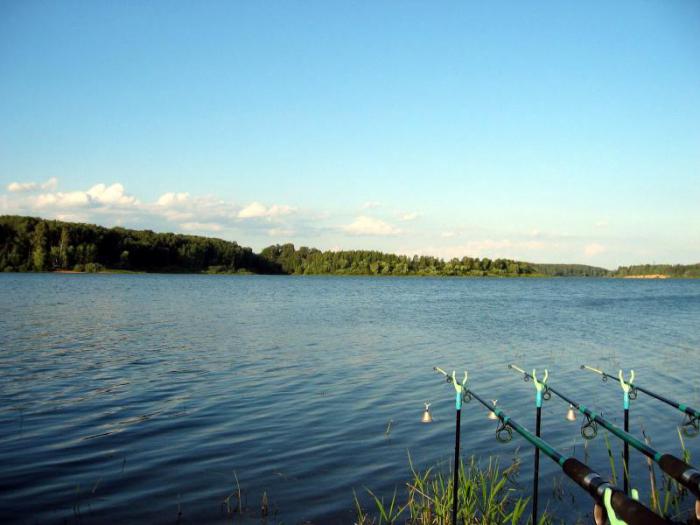 озернинское водохранилище 