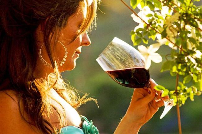 Красные сухие вина Чили