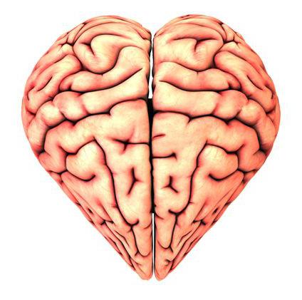 окситоцин гормон любви