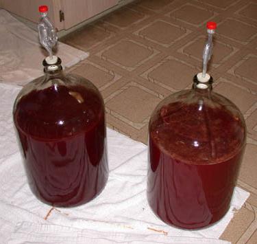 домашнее вишневое вино с косточками
