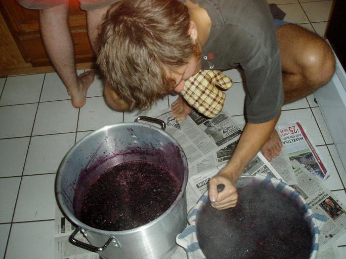 рецепт домашнего вина из шелковицы