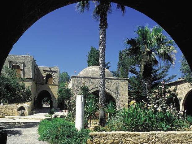 tasia maris oasis кипр