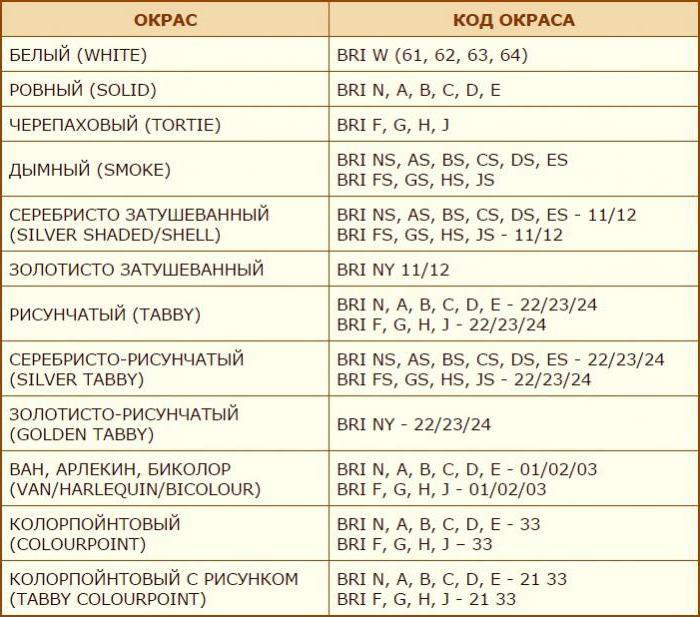 окрасы британских кошек таблица с фото