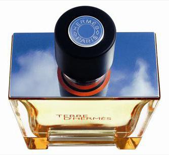 terre d hermes parfum 