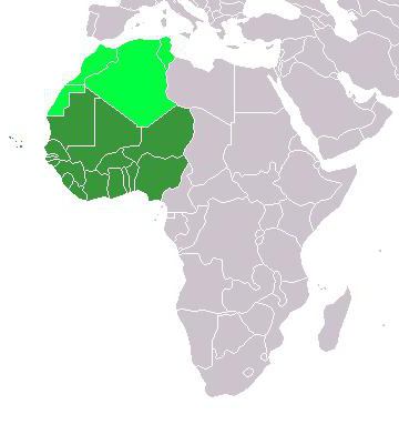 Западная Африка столицы стран