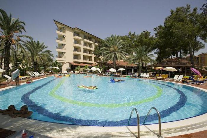 palm d or hotel отзывы