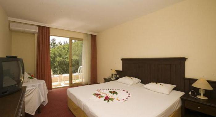 palm d or hotel 4 отзывы