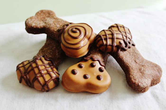 лакомства для собак