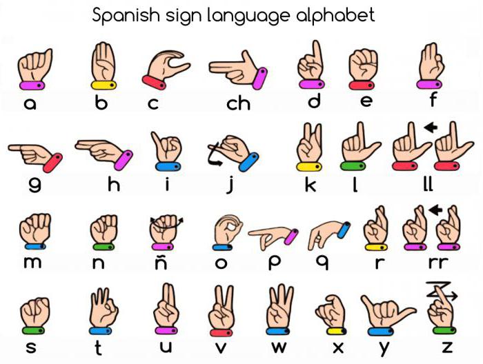 как научиться языку жестов глухонемых 