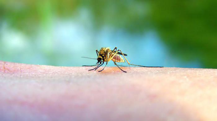 защита от мошек и комаров народные средства