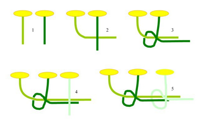 Как плести венок схема