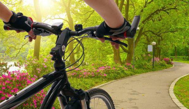 езда на велосипеде расход калорий сколько сжигается 